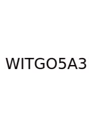 What Is The Gcf Of 5 And 3