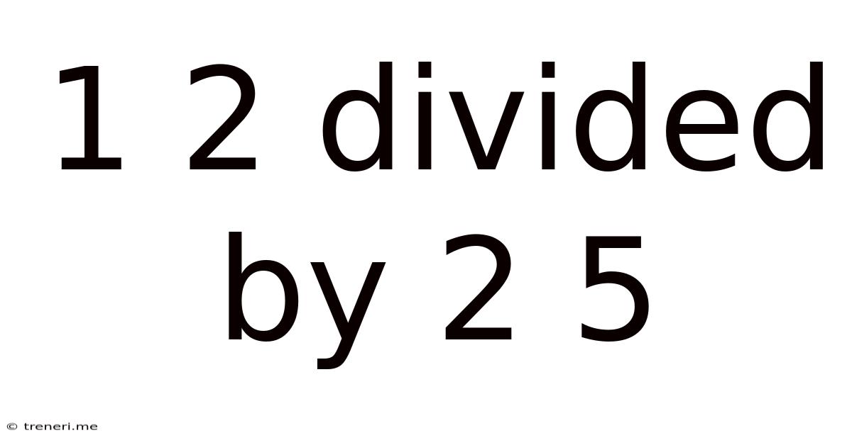 1 2 Divided By 2 5