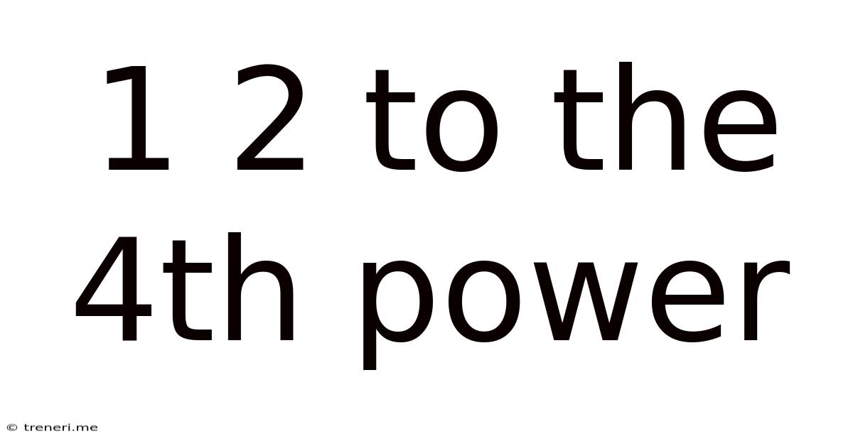 1 2 To The 4th Power