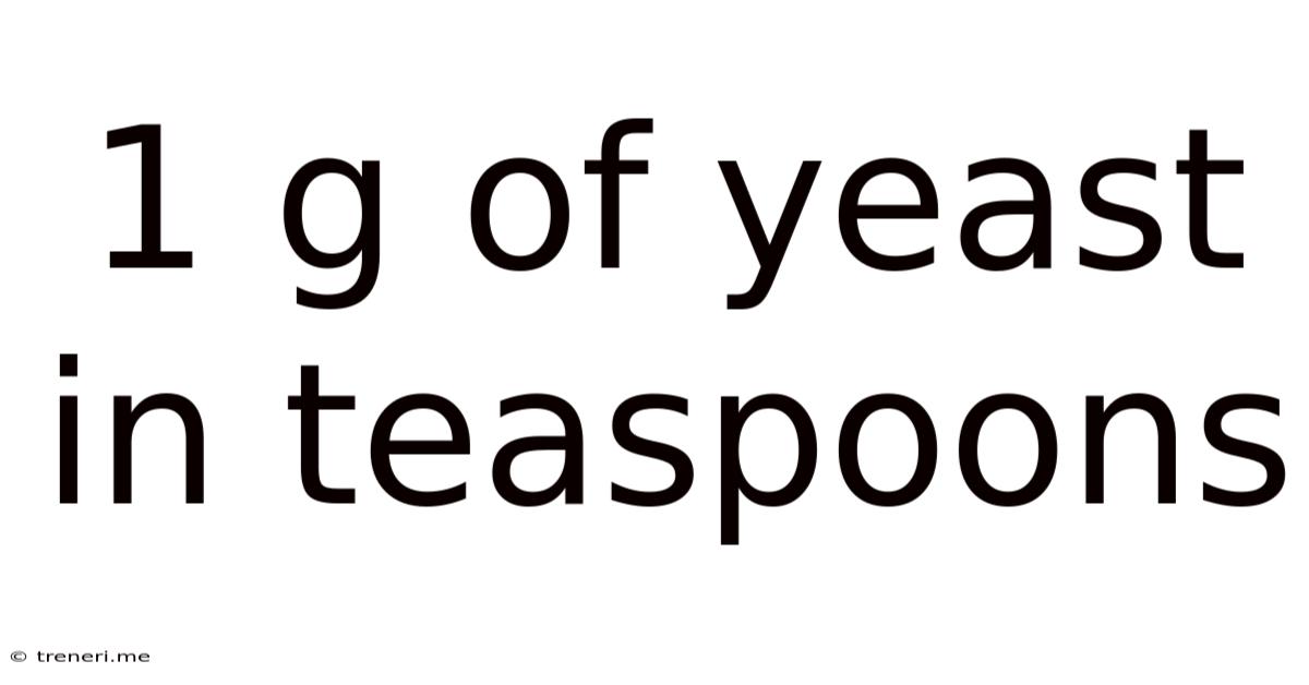 1 G Of Yeast In Teaspoons