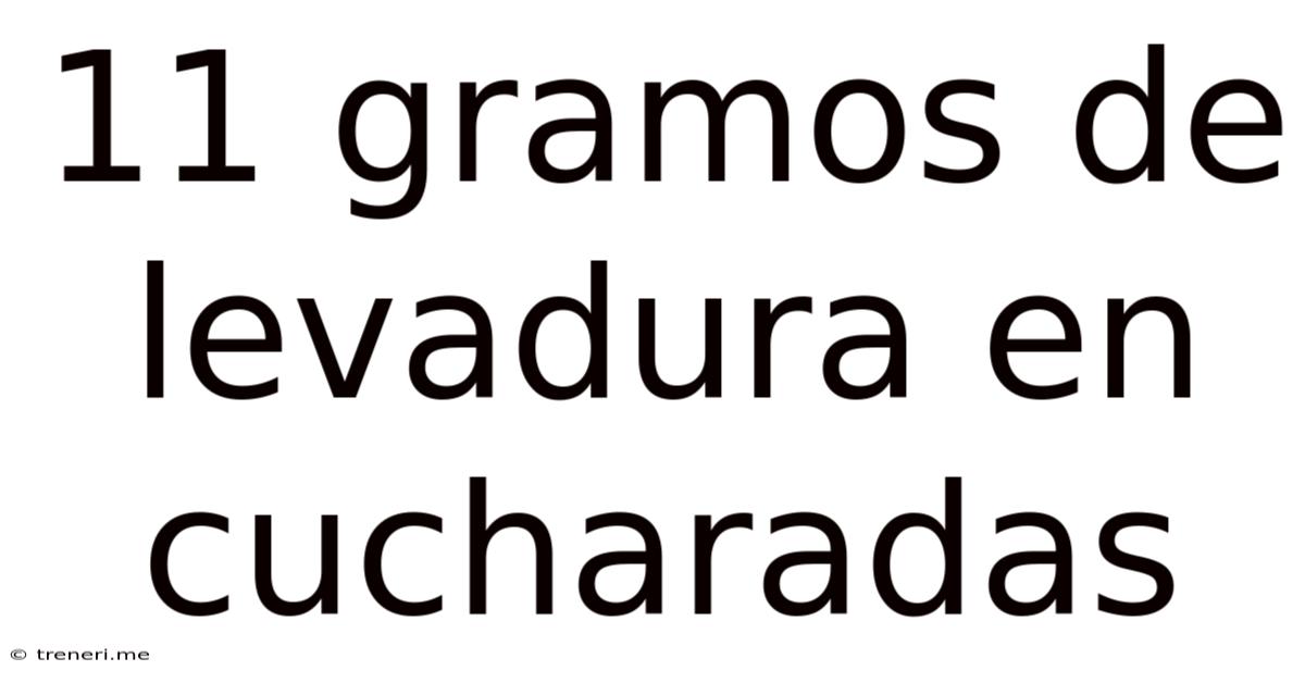 11 Gramos De Levadura En Cucharadas