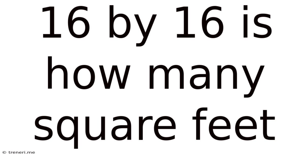16 By 16 Is How Many Square Feet