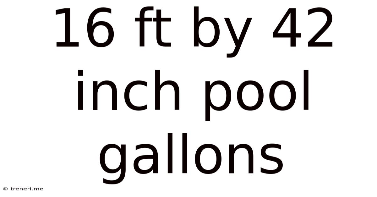 16 Ft By 42 Inch Pool Gallons