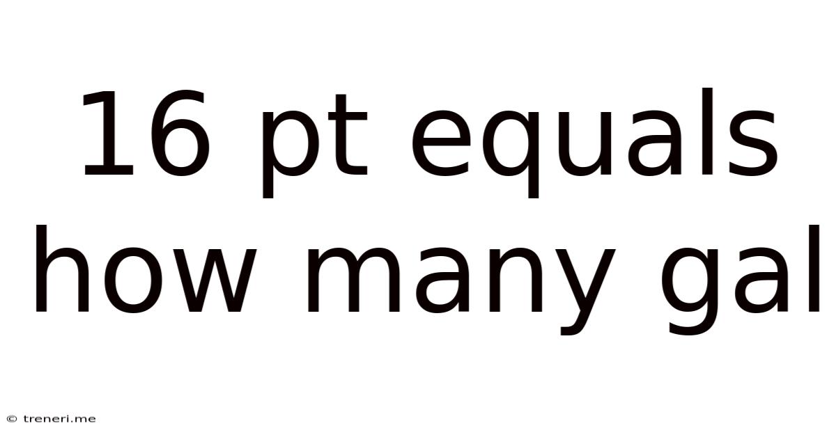 16 Pt Equals How Many Gal
