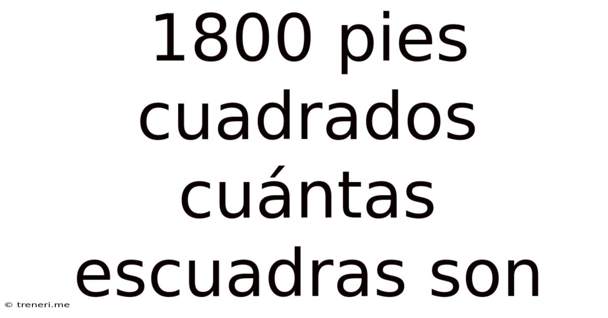 1800 Pies Cuadrados Cuántas Escuadras Son