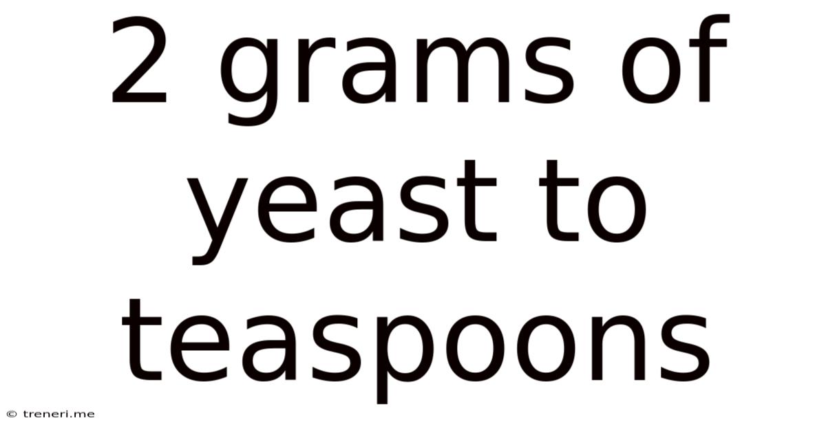 2 Grams Of Yeast To Teaspoons