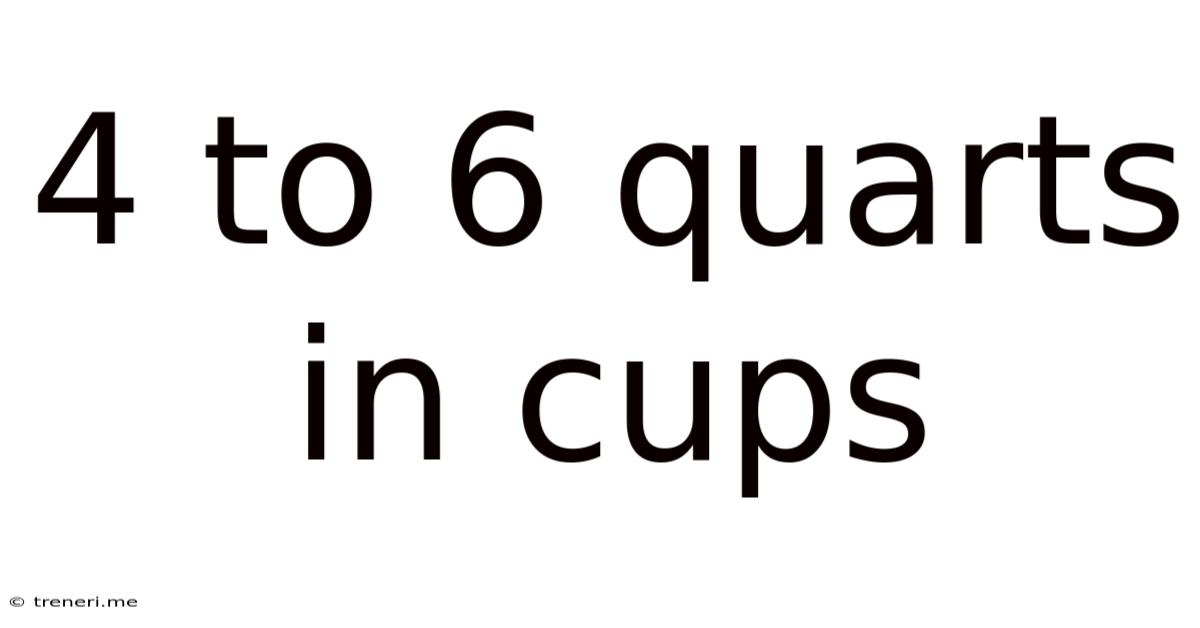 4 To 6 Quarts In Cups