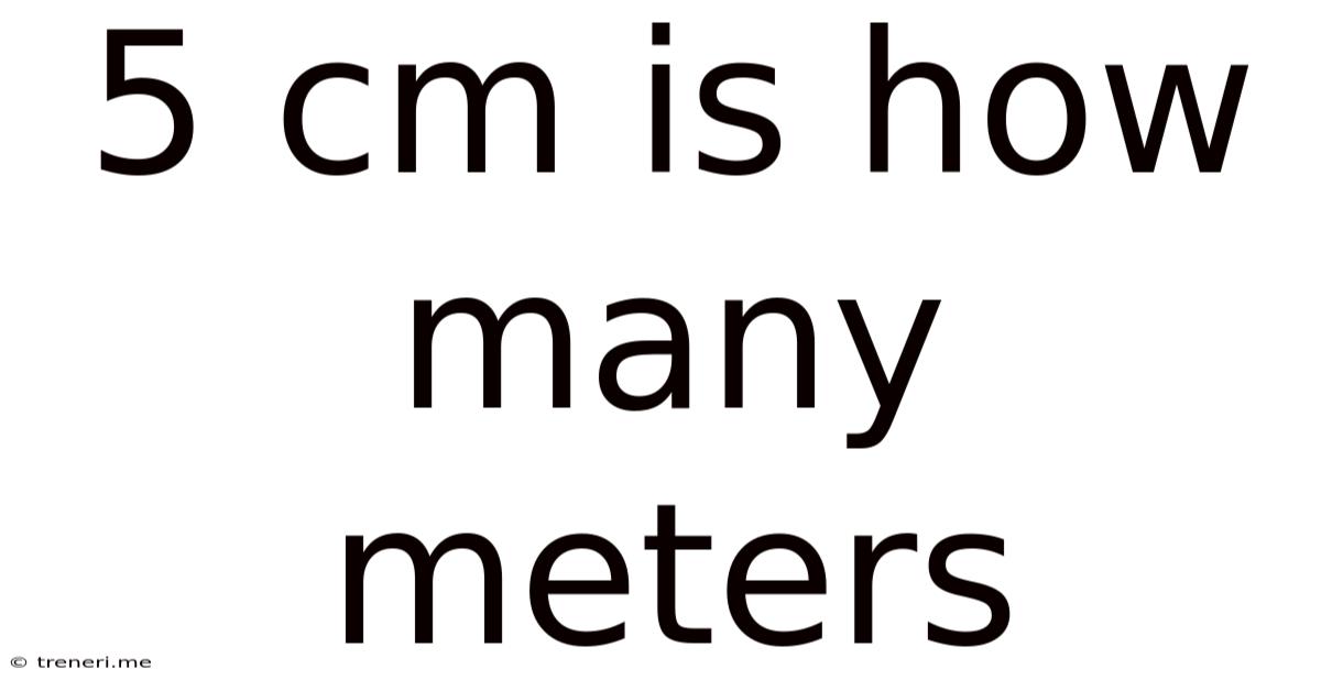 5 Cm Is How Many Meters