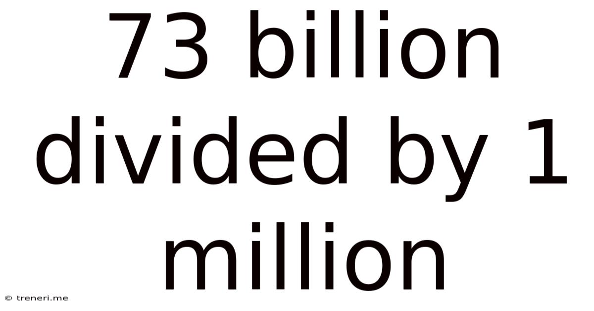 73 Billion Divided By 1 Million