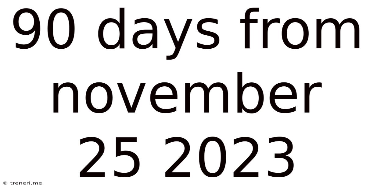 90 Days From November 25 2023