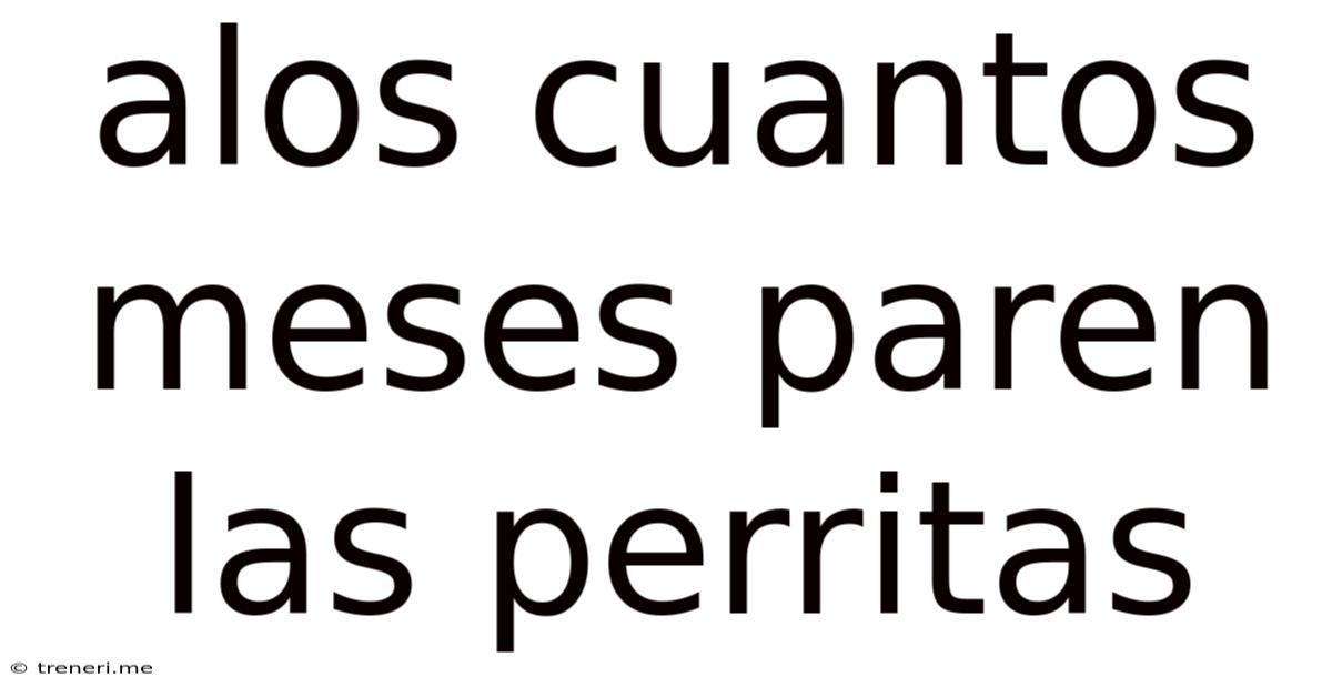 Alos Cuantos Meses Paren Las Perritas