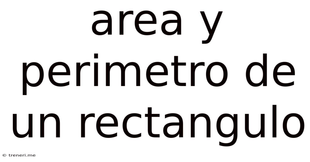 Area Y Perimetro De Un Rectangulo