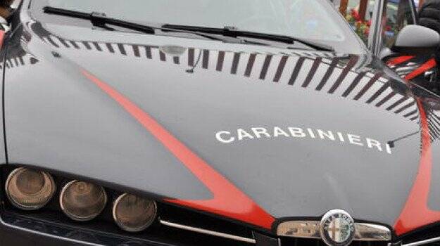 Calabria Shoplifting Arrest: Headbutt Incident