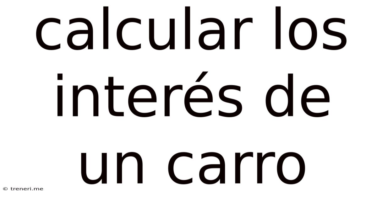 Calcular Los Interés De Un Carro