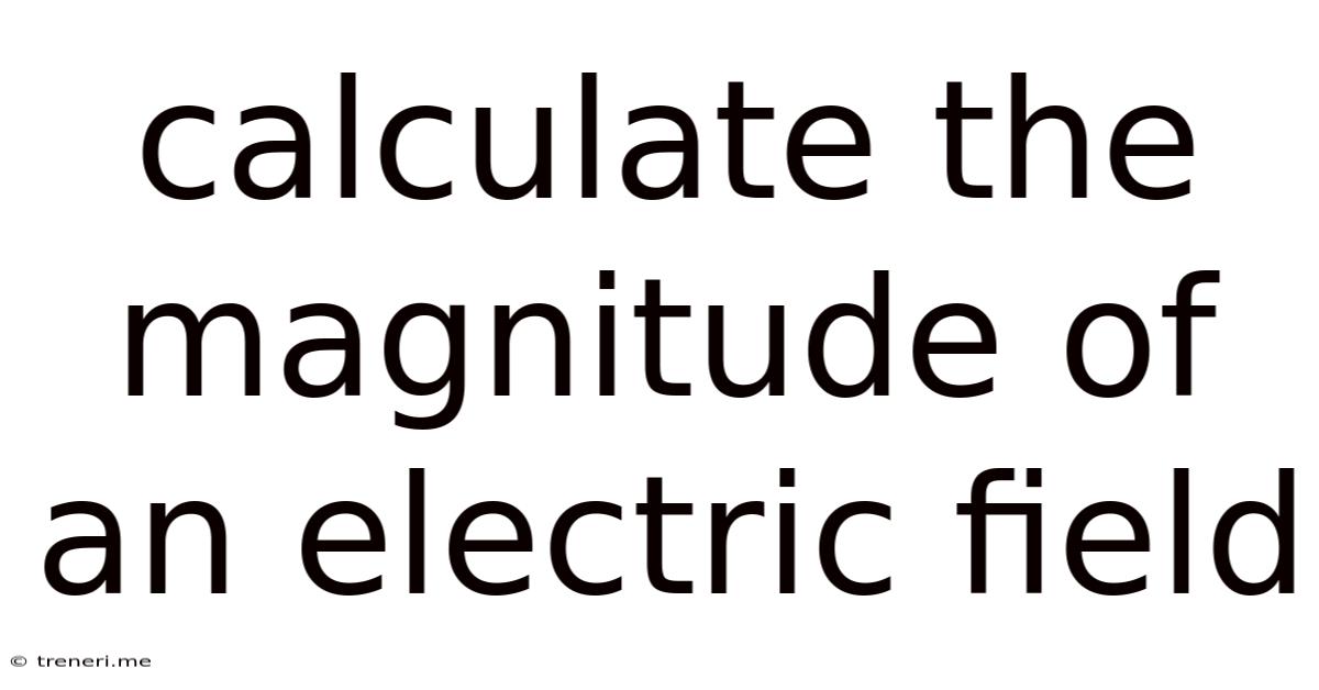 Calculate The Magnitude Of An Electric Field