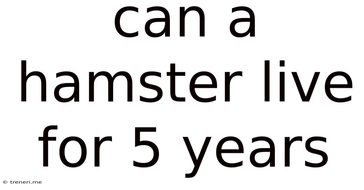 Can A Hamster Live For 5 Years