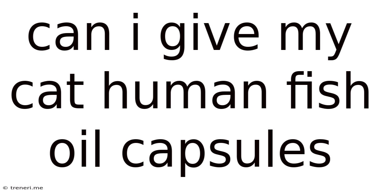 Can I Give My Cat Human Fish Oil Capsules