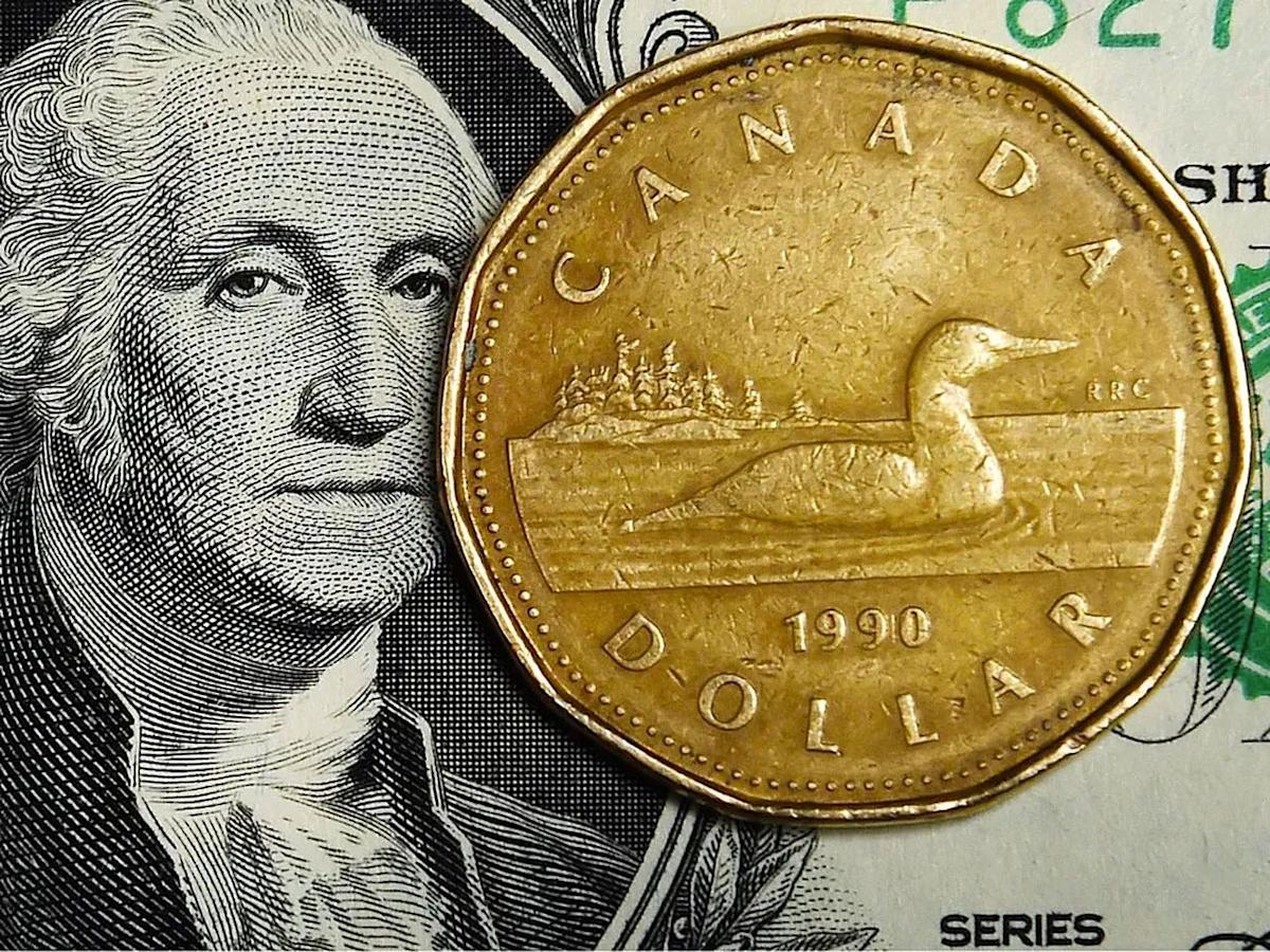 Canadian Dollar Soars: Defying Economic Slump?
