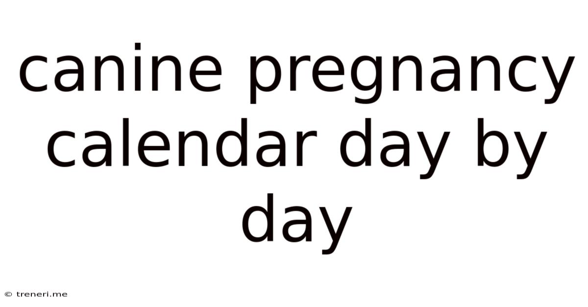 Canine Pregnancy Calendar Day By Day