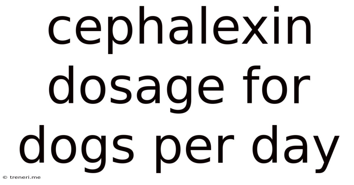Cephalexin Dosage For Dogs Per Day