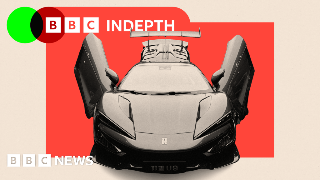 China's Cheap EVs: Hidden Costs?