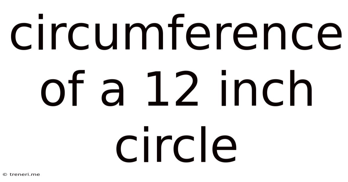 Circumference Of A 12 Inch Circle