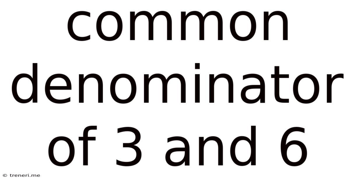 Common Denominator Of 3 And 6