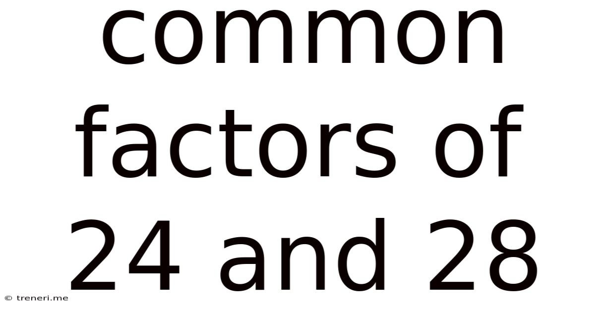 Common Factors Of 24 And 28