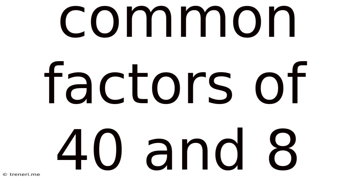 Common Factors Of 40 And 8