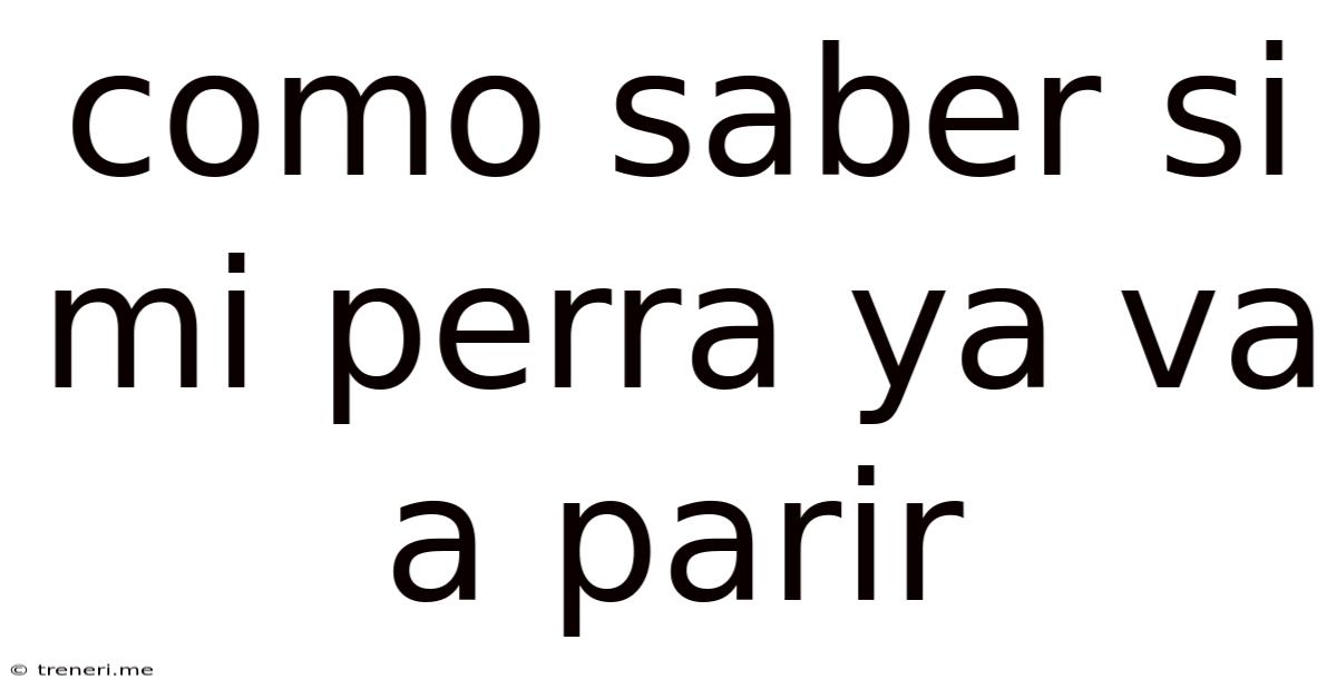 Como Saber Si Mi Perra Ya Va A Parir
