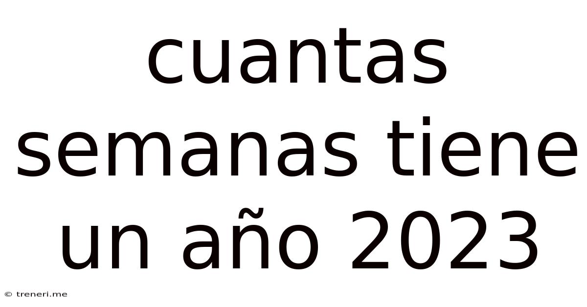 Cuantas Semanas Tiene Un Año 2023