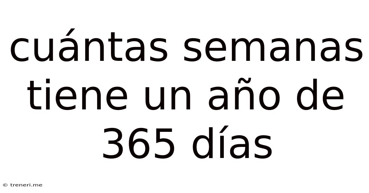 Cuántas Semanas Tiene Un Año De 365 Días