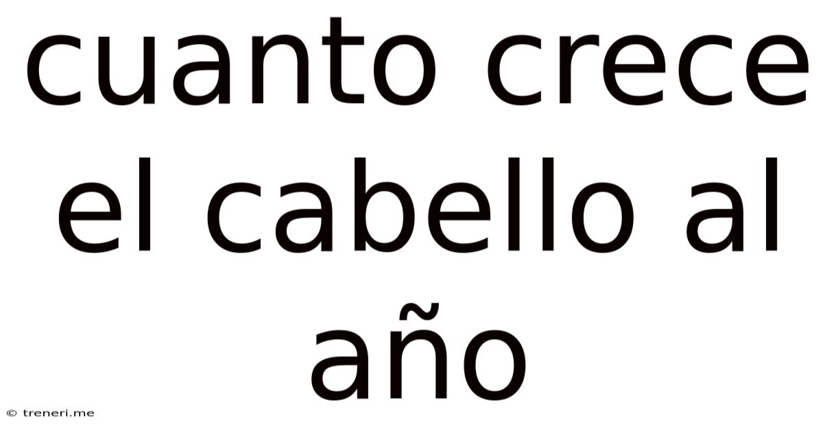 Cuanto Crece El Cabello Al Año