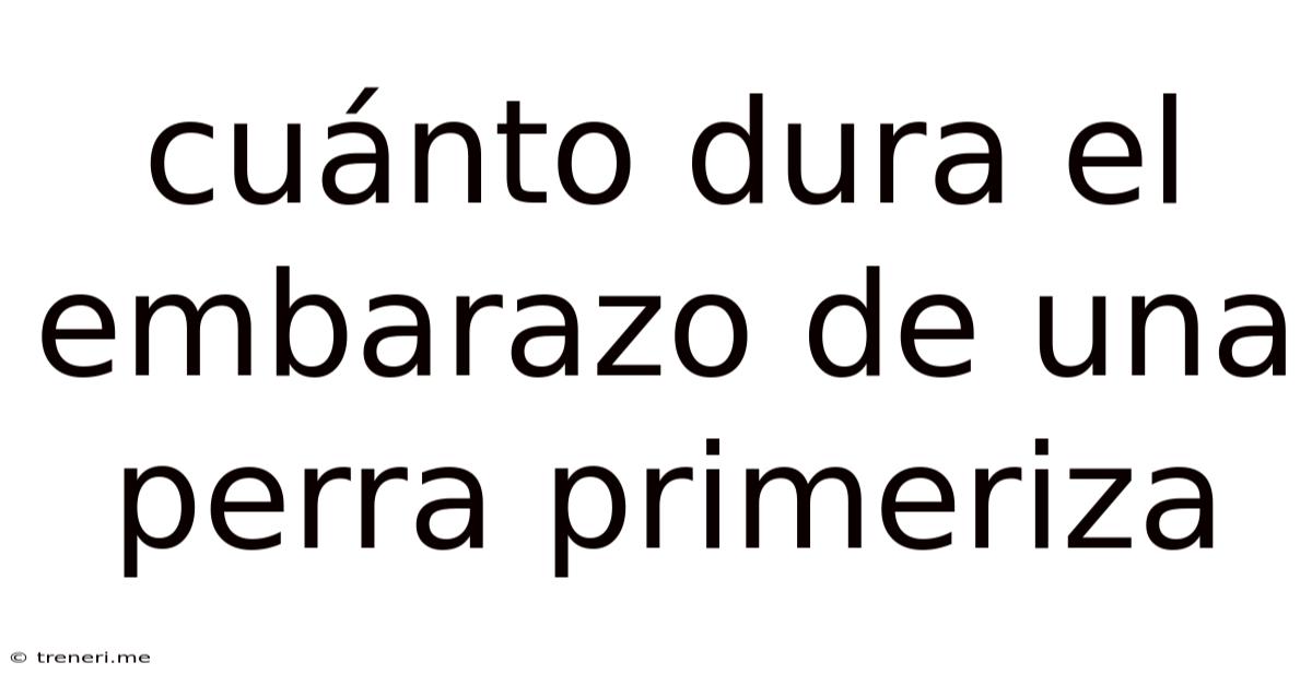 Cuánto Dura El Embarazo De Una Perra Primeriza