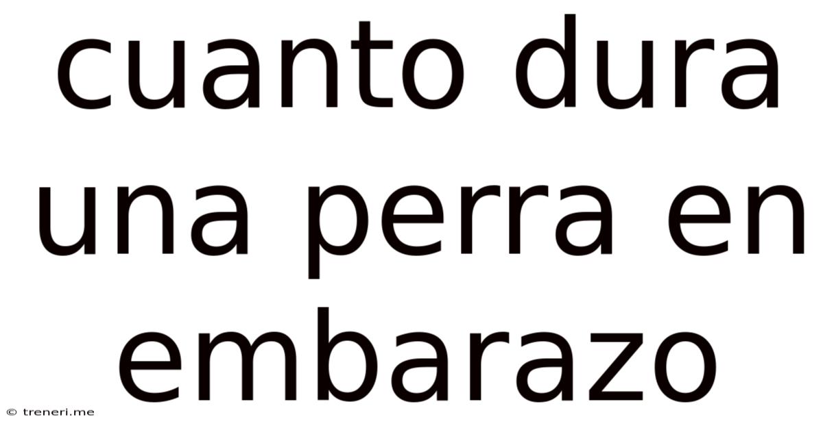 Cuanto Dura Una Perra En Embarazo