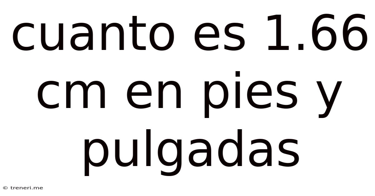 Cuanto Es 1.66 Cm En Pies Y Pulgadas