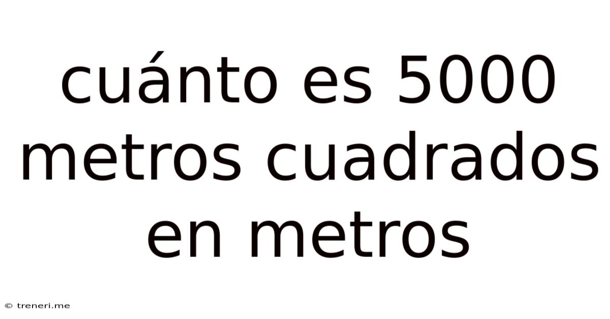 Cuánto Es 5000 Metros Cuadrados En Metros