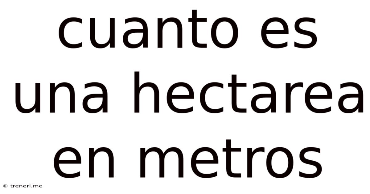 Cuanto Es Una Hectarea En Metros