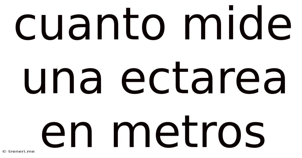 Cuanto Mide Una Ectarea En Metros