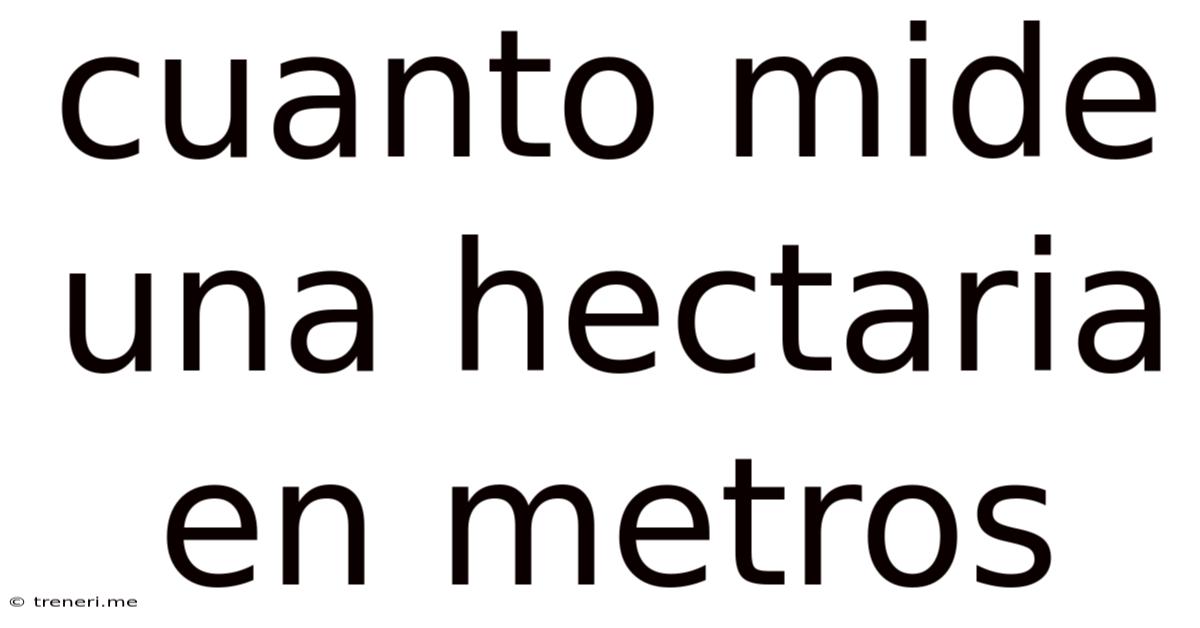 Cuanto Mide Una Hectaria En Metros