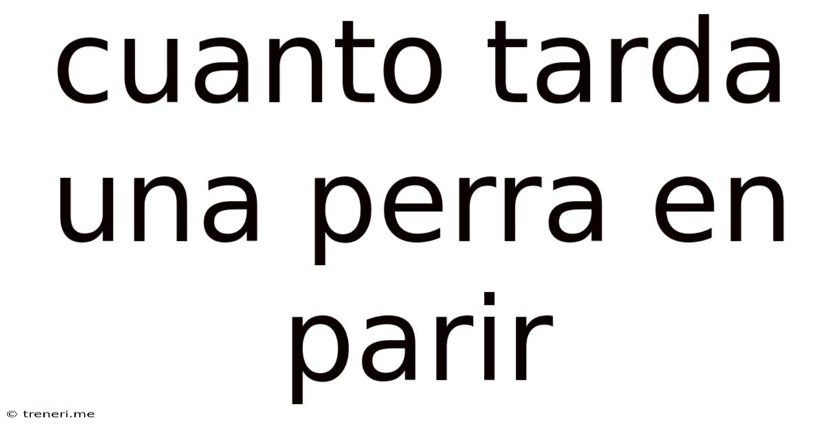 Cuanto Tarda Una Perra En Parir
