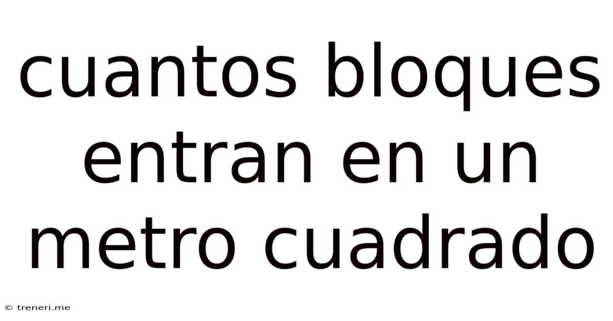 Cuantos Bloques Entran En Un Metro Cuadrado