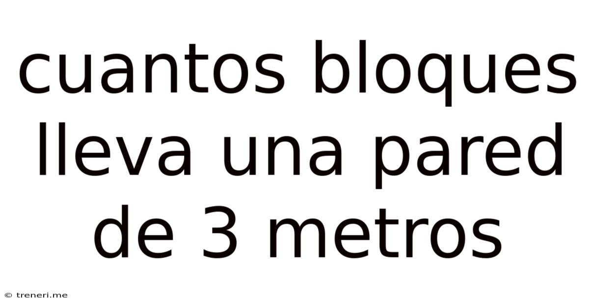 Cuantos Bloques Lleva Una Pared De 3 Metros