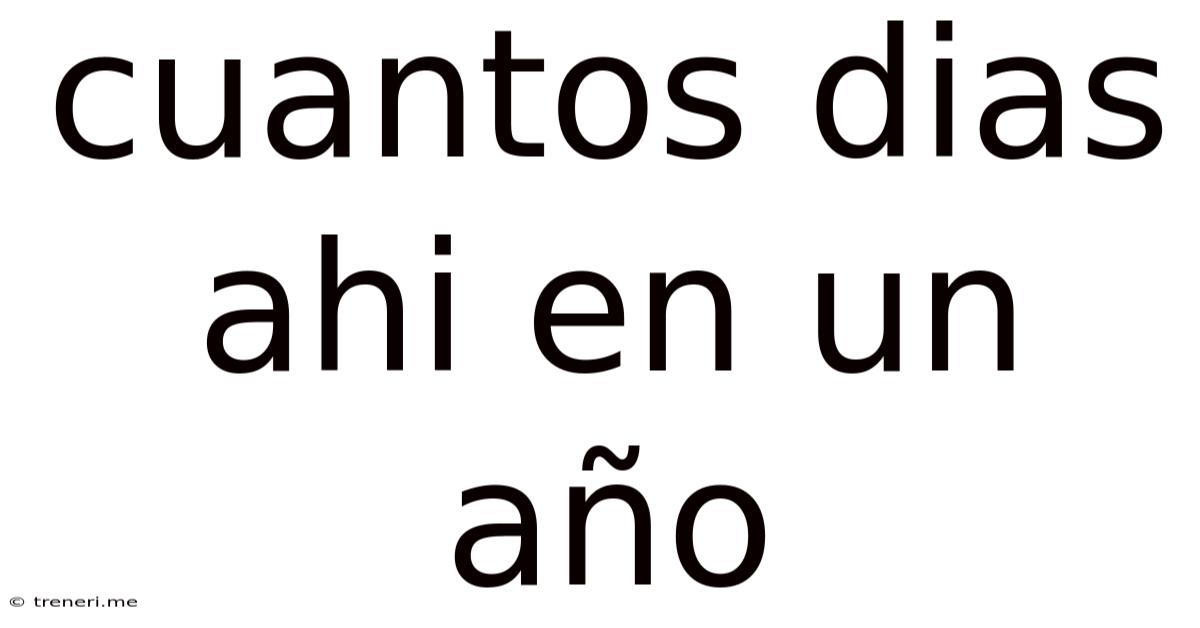 Cuantos Dias Ahi En Un Año