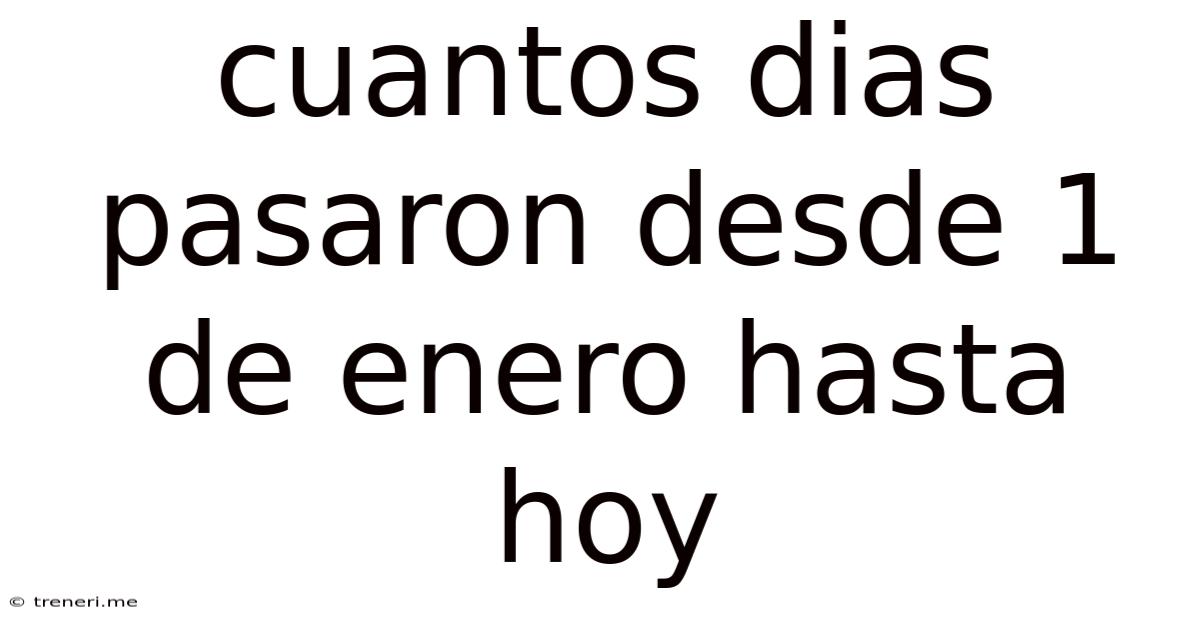 Cuantos Dias Pasaron Desde 1 De Enero Hasta Hoy