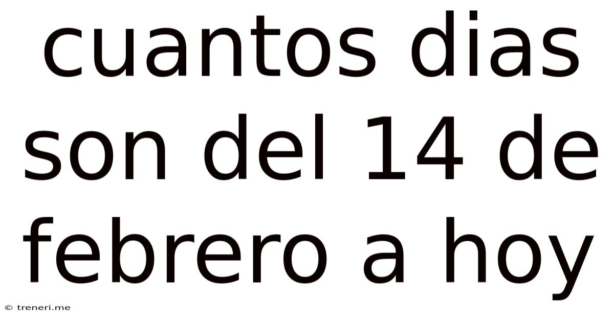 Cuantos Dias Son Del 14 De Febrero A Hoy