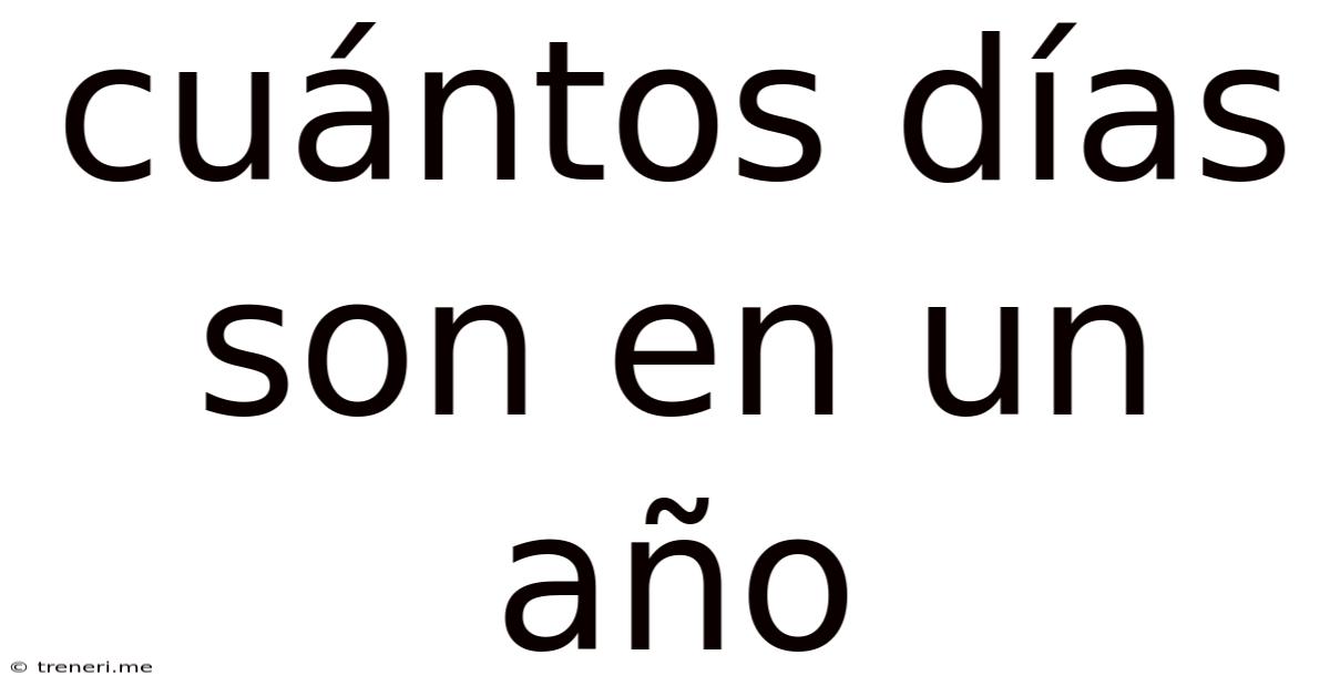 Cuántos Días Son En Un Año