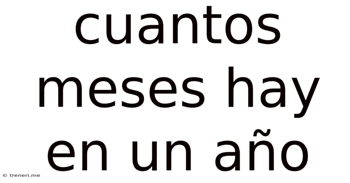 Cuantos Meses Hay En Un Año