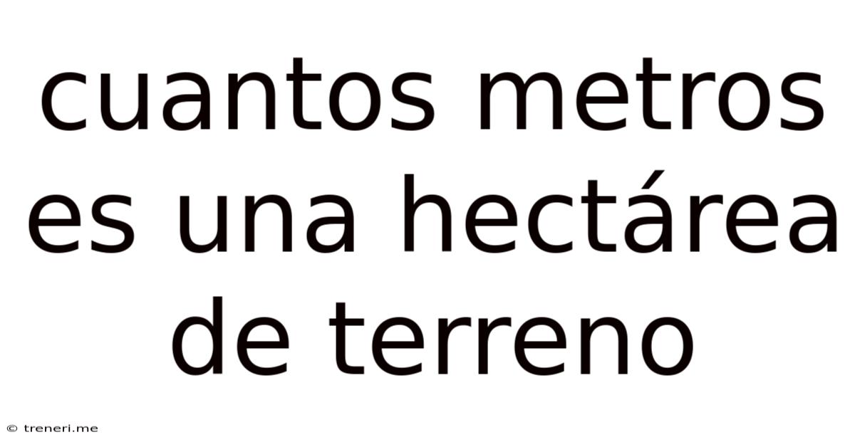 Cuantos Metros Es Una Hectárea De Terreno