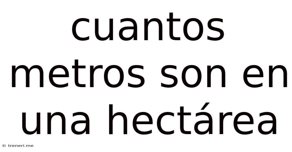 Cuantos Metros Son En Una Hectárea